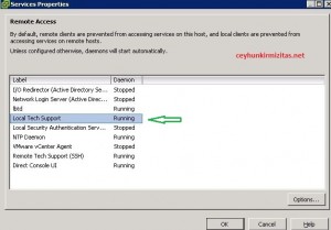 How to Enable Local TSM on ESXi How to Enable Local TSM on ESXi
