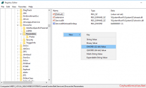 Disable Negative DNS Caching