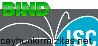 Install and Configure Primary (Master) BIND DNS Server – RHEL 6 – CentOS 6