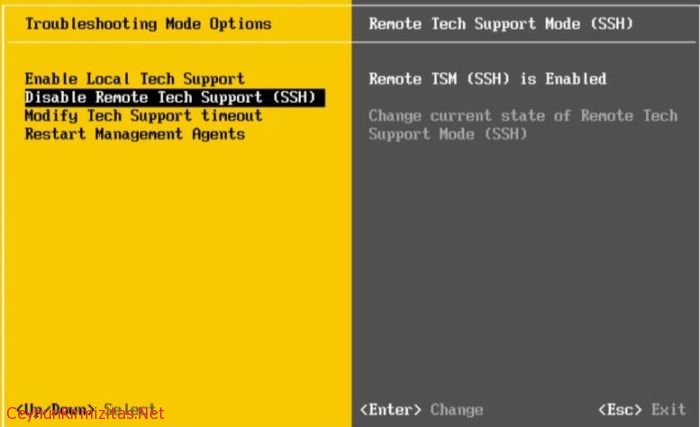 How to Enable Local or Remote Tech Support Mode TSM from the Direct Console User Interface (DCUI) on ESXi 4.1