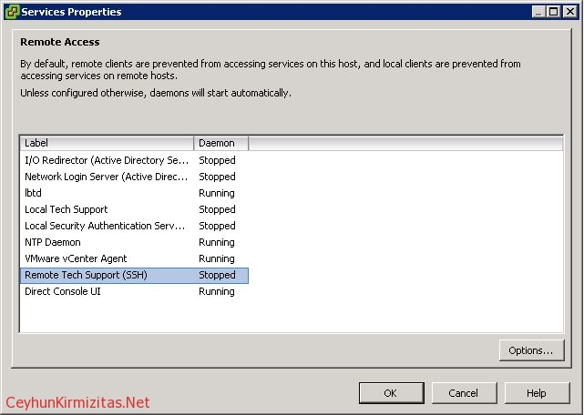 How to Enable Local or Remote Tech Support Mode TSM from vSphere Client