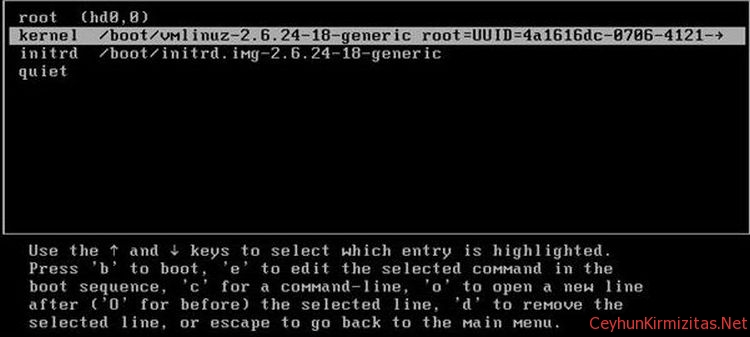 How to Reset Password in Ubuntu Linux